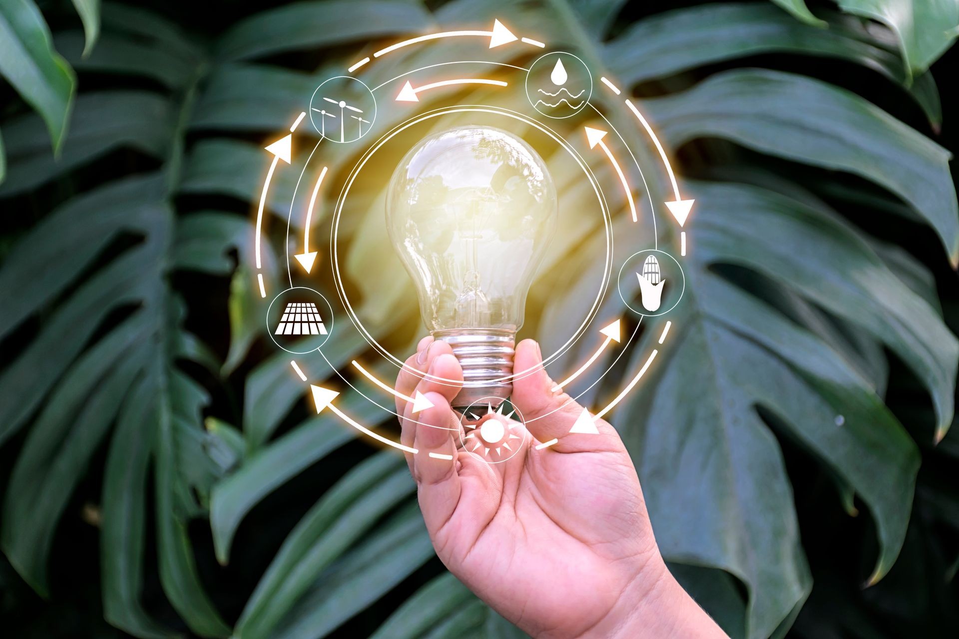 Hand holding light bulb in front of global show the world's consumption with icons energy sources for renewable, sustainable development. Ecology concept. The background is green leaves.